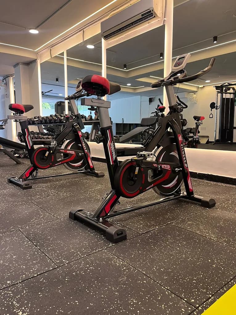Barbells lined up